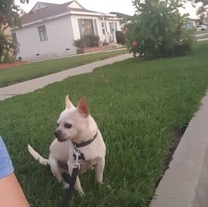 Meet your Posher, Cynthia